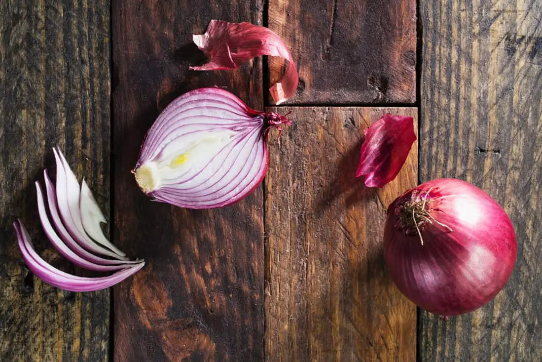 ¿Pueden los pollos comer cebollas cocidas?