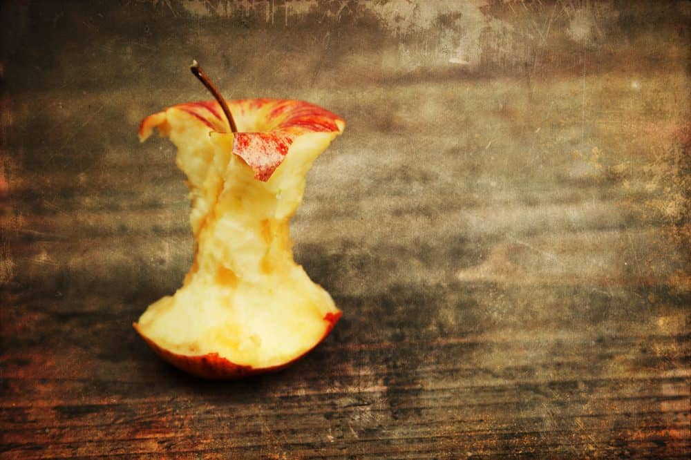 ¿Pueden los pollos comer corazones de manzana?