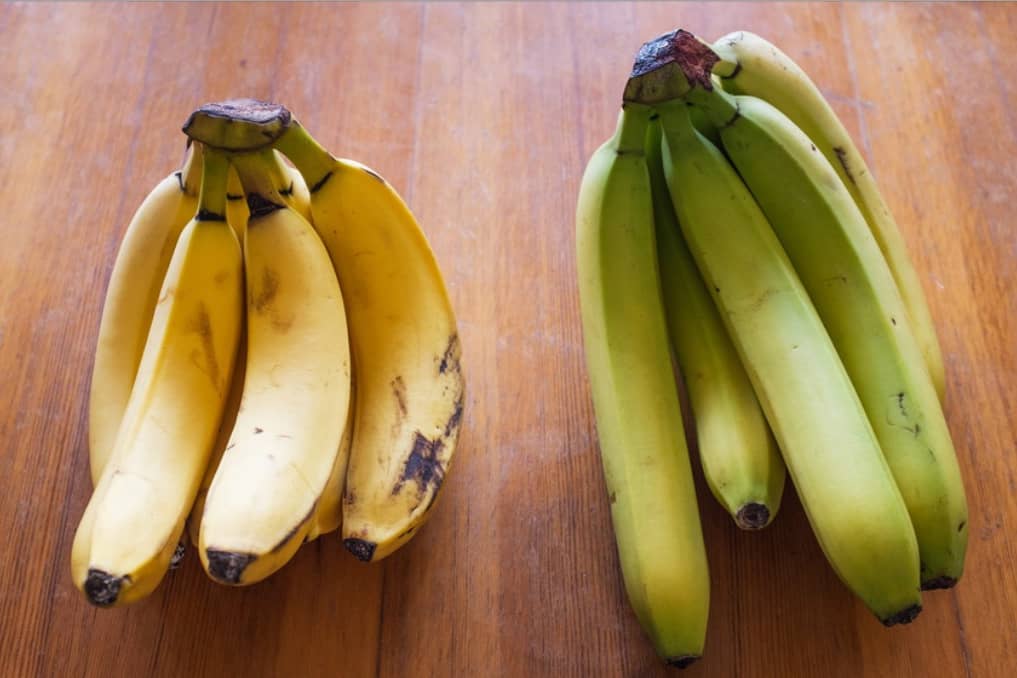 las gallinas comen platanos