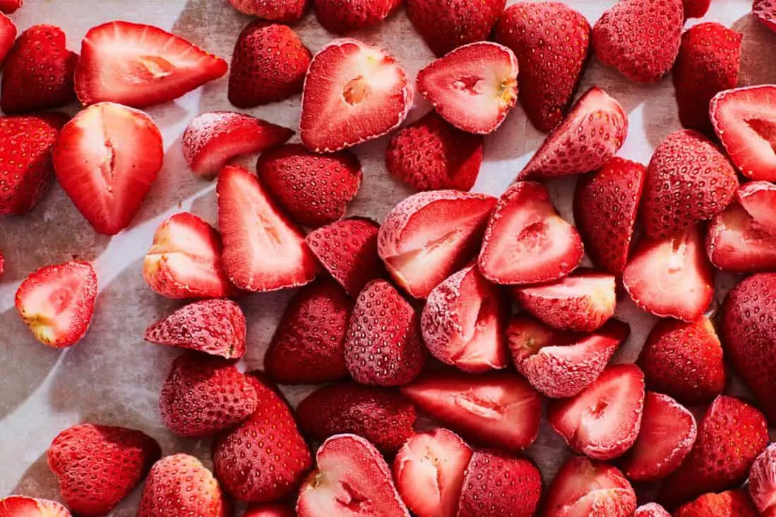 ¿los pollitos pueden comer fresas?