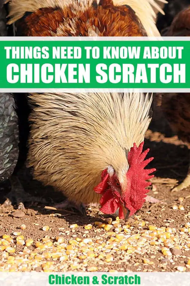 que es el rasguño de pollo