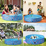 Toozey Piscina para perros, piscina infantil de plástico antideslizante, piscina portátil plegable de PVC para perros, piscina infantil para perros, piscina para perros pequeños a grandes