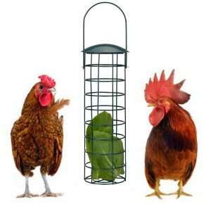 Caja de golosinas para frutas
