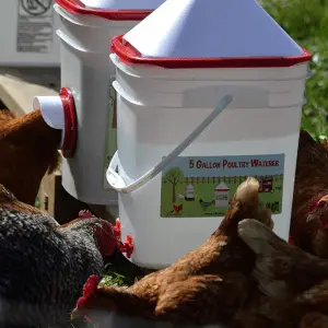 Bebedero para pollos de 5 galones - Pezones para aves de corral de montaje lateral horizontal
