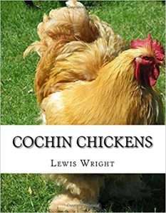 Pollos Cochin: del libro de las aves de corral