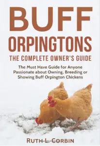 Buff Orpingtons - La guía completa para propietarios