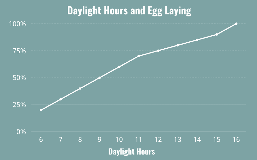 horas de luz y puesta de huevos