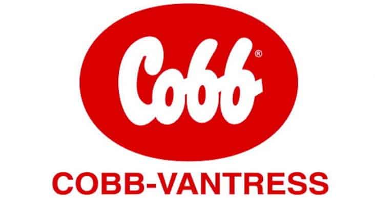 Incubadora Cobb-Vantress