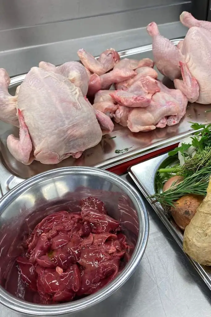 temperatura del pollo