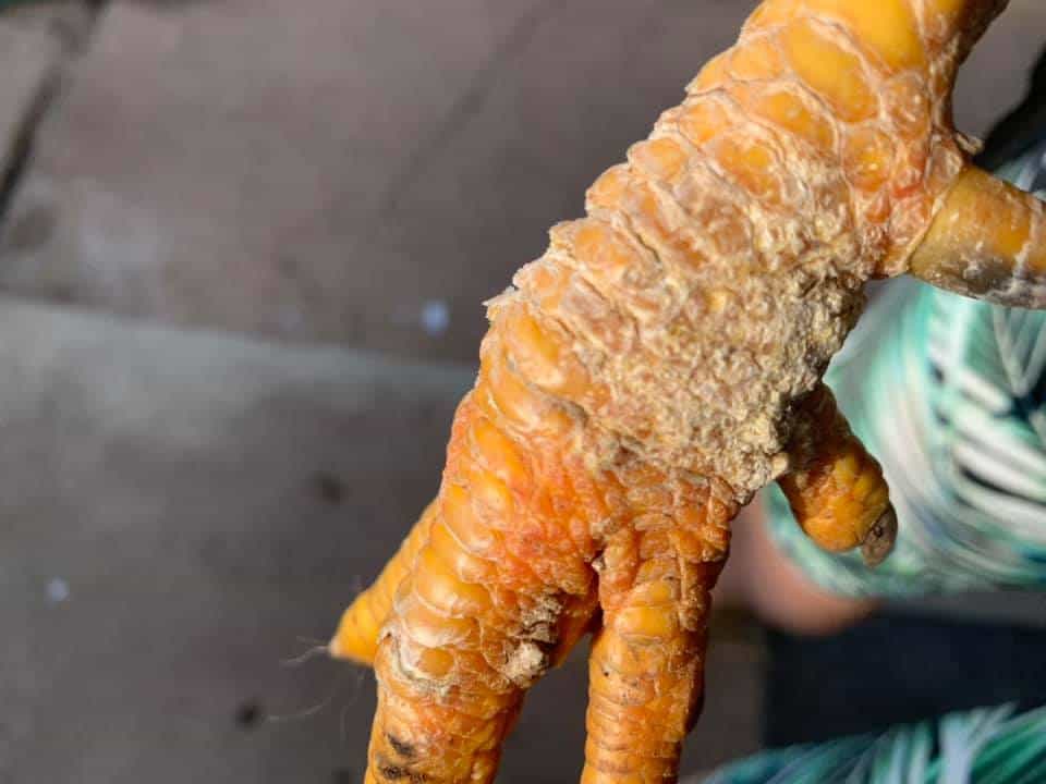 ¿Qué son los ácaros de las piernas escamosas?