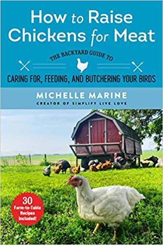 Cómo criar pollos para carne