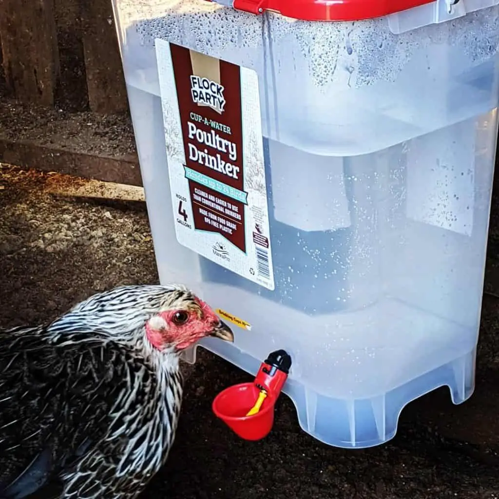 mejor sistema de riego de pollos