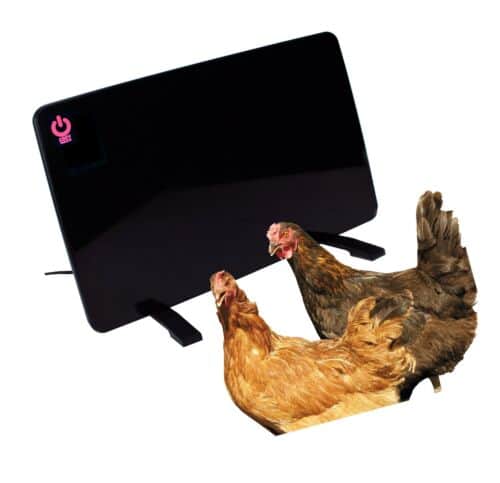 Cosy Products CL Safe Calentador de gallinero de 200 W
