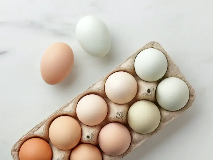 Tabla de colores de huevos de gallina