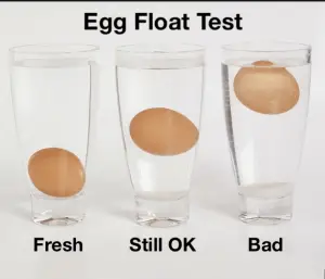 ¿Cómo puedo saber si un huevo es fresco?