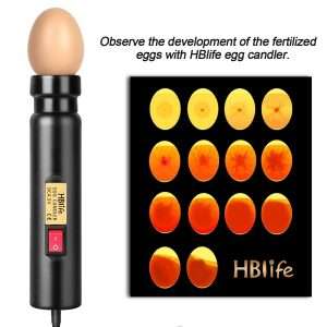 hblife Bright Cool LED luz Egg Candler