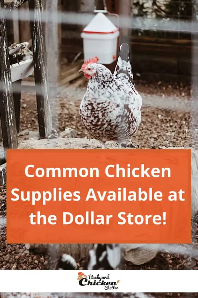 ¡Suministros comunes de pollo disponibles en Dollar Store!