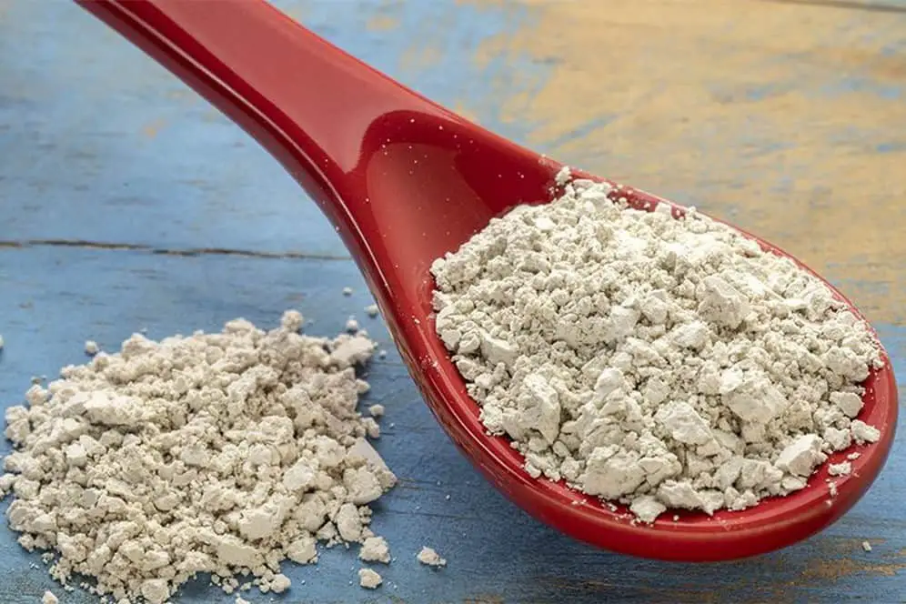 pollos de tierra de diatomeas