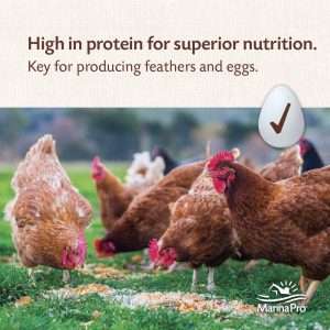 Manna Pro Organic Layer Pellets para pollos, 30 lb