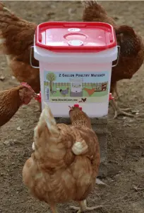 Bebedero para pollos de 2 galones - Configuración de boquilla horizontal (4 boquillas)
