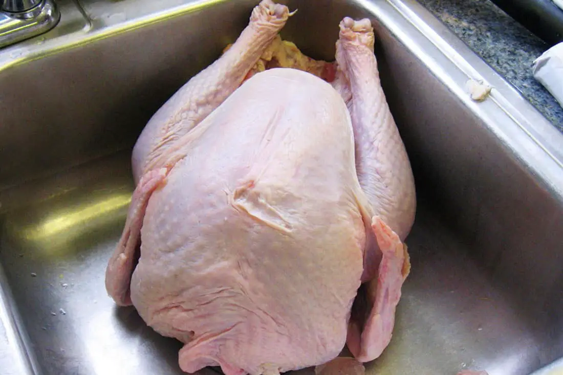 ¿Cuánto tiempo puede permanecer fuera el pollo?