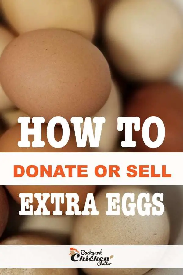 como vender huevos extra