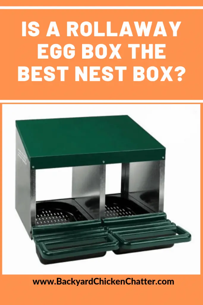 ¿Es una caja de huevos plegable la mejor caja nido?