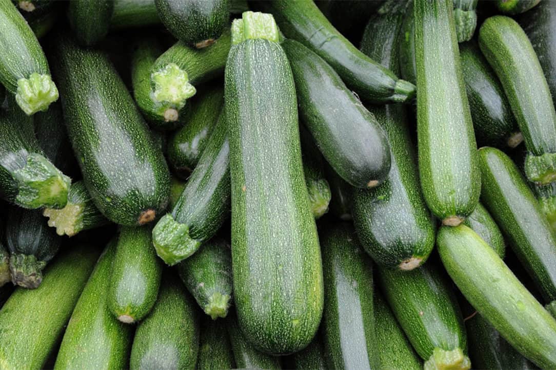 ¿Son venenosas las hojas de calabacín?