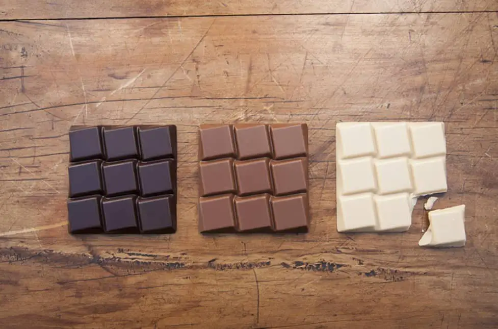¿Pueden los pollos tener chocolate?