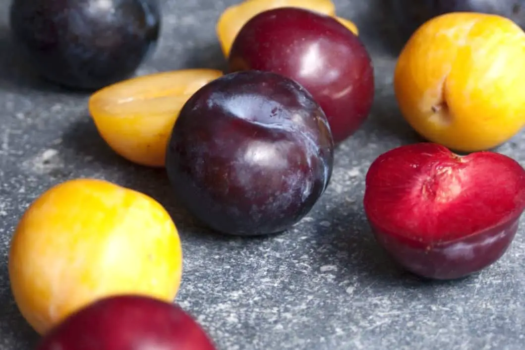 ¿Son las ciruelas saludables para los pollos?