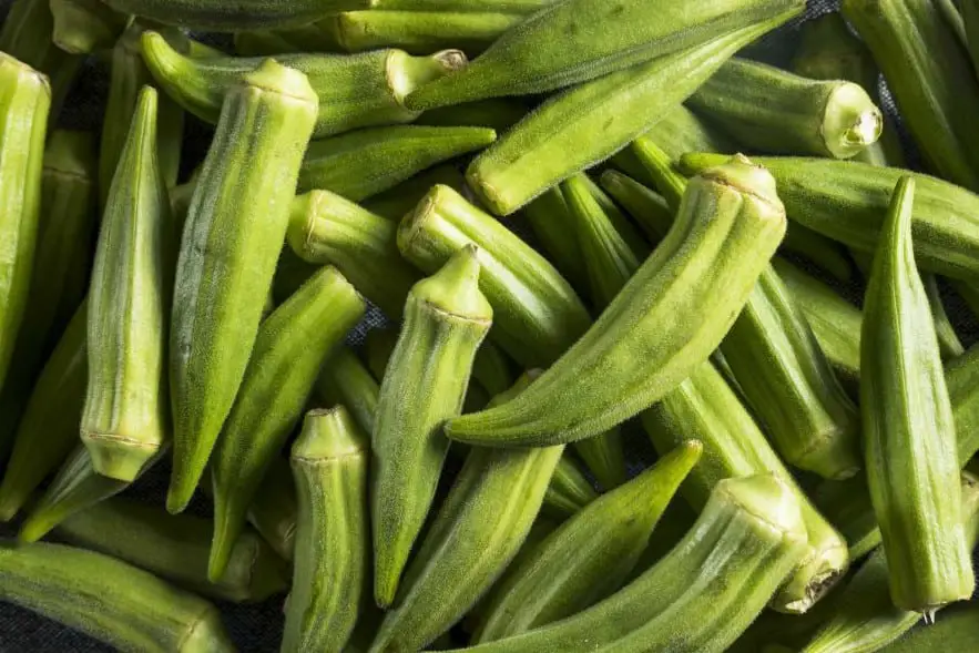¿Pueden los pollos comer okra? (Nutrición, Beneficios, Consejos de